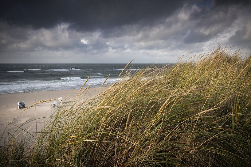 Pure Sylt par Beate Zoellner