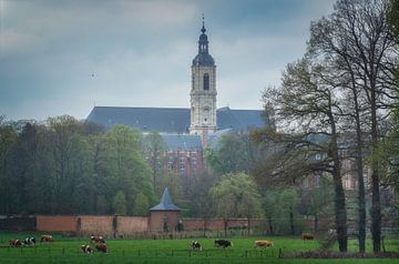 Abtei von Averbode von Loris Photography