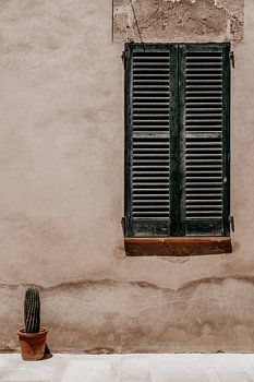 Façade méditerranéenne avec volets verts et cactus&quot ;, Summer Vibes.