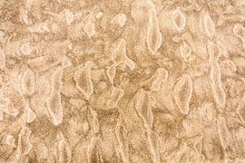 Abstract pattern on beach in sand colour