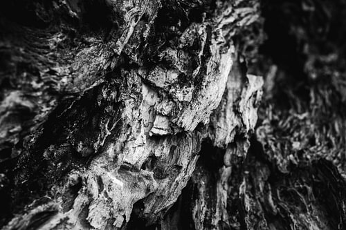 Abstract tree