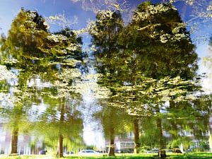 Urban Reflections 81