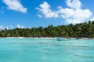 Azuurblauwe zee en wuivende palmbomen op de Dominicaanse Republiek van Reis Genie thumbnail