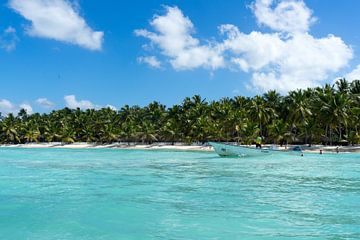 Azuurblauwe zee en wuivende palmbomen op de Dominicaanse Republiek