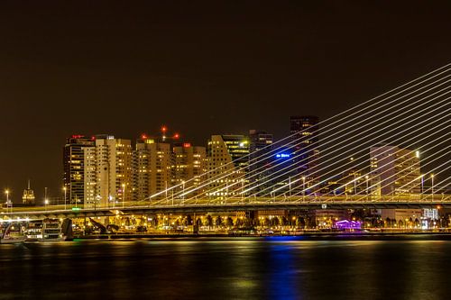 Salutations de Rotterdam sur Elly Besselink
