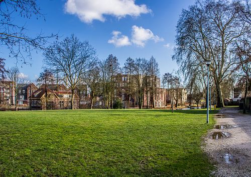 Huizen in het Torckpark in Wageningen