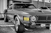 Ford Shelby Cobra GT 350