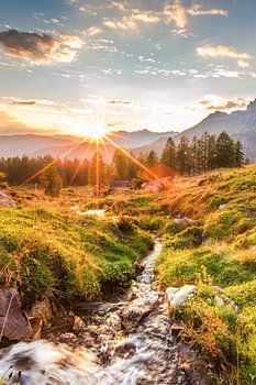 Berglandschaft "Sonnenuntergang auf der Alm"