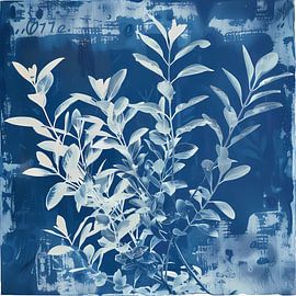 blue cyanotype silhouette plant by Ariadna de Raadt-Goldberg