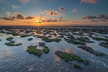 Zonsondergang tijdens laagtij van de Waddenzee. van Ytje Veenstra
