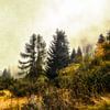 Autumn alpine landscape by Nicc Koch