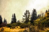 Herfst Alpen Landschap
