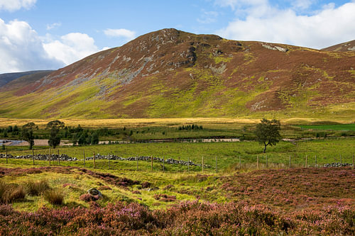 Invercauld Estate, near Braemar on Royal Deeside, Aberdeenshire