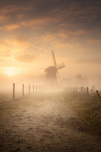 Weg zur Mühle „De Zwaluw“ in Oudemolen | Nebelverhüllter Sonnenaufgang in Drenthe von KB Design & Photography (Karen Brouwer)