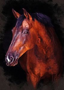 cheval animal art #horse sur JBJart Justyna Jaszke