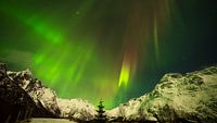 Lady Aurora