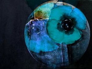 Mohnnacht - Blauer Mohn