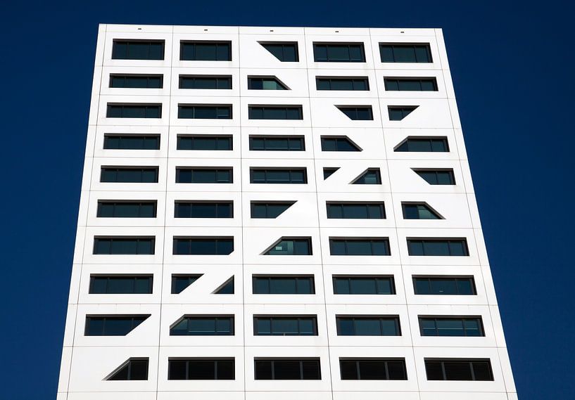 l'architecture moderne par Maurice de vries