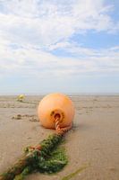Buoy on the beach