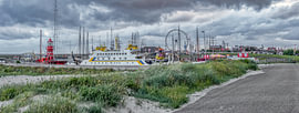 Panorama du port de Harlingen sur John Kreukniet