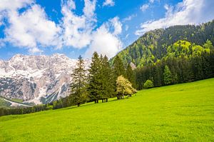 Vue de la vallée alpine au printemps sur Sjoerd van der Wal Photographie