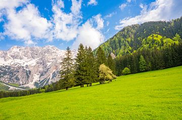 Blick auf das Alpental im Frühling von Sjoerd van der Wal Fotografie