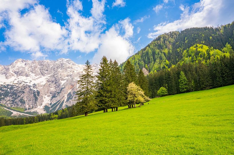 Vue de la vallée alpine au printemps par Sjoerd van der Wal Photographie