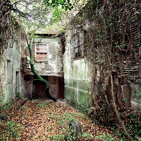 Lieux abandonnés - Maison dans la verdure sur Times of Impermanence