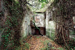 Lieux abandonnés - Maison dans la verdure sur Times of Impermanence