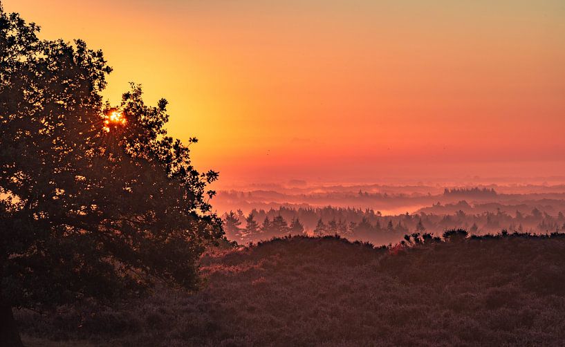 Zonsopgang van John de Vent