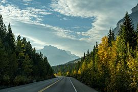 Herfstlicht op de Icefields Parkway van Ton de Koning