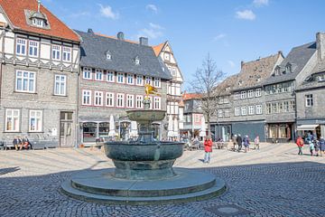 Goslar - Markt Fontein van t.ART