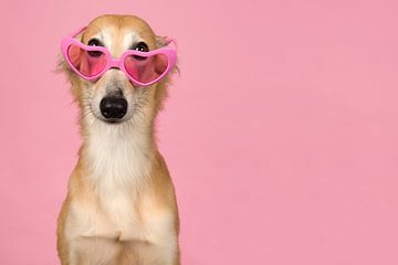 Roze bril van Elles Rijsdijk