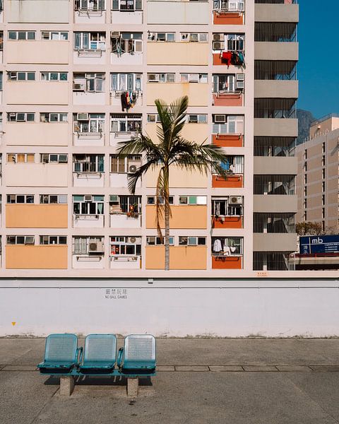 Immeuble d'appartements orange dans le domaine Choi Hung à Hong Kong avec un palmier par Michiel Dros
