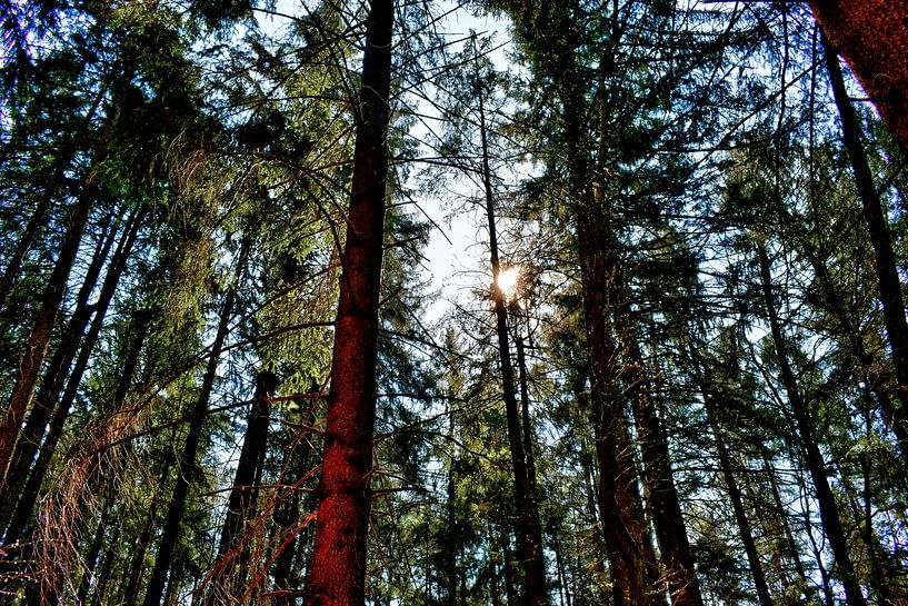 Flashing midday sun by Roith Fotografie