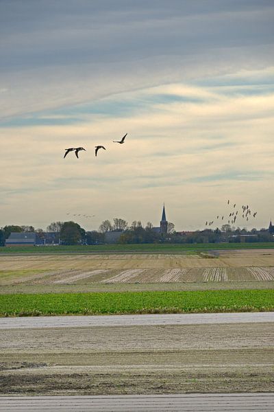 Friesland by Harrie Muis