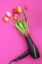 Reproduction « Tulipes à Fohn »