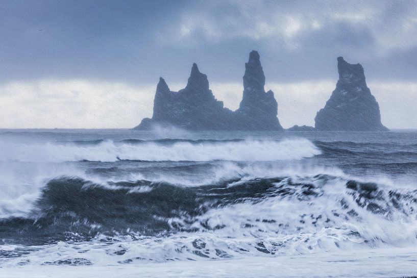 Beginnende sneeuwstorm van Karla Leeftink