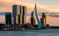 De Rotterdam en Erasmusbrug in Rotterdam in het laatste avondlicht van MS Fotografie | Marc van der Stelt thumbnail