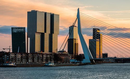 De Rotterdam en Erasmusbrug in Rotterdam in het laatste avondlicht