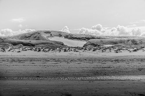 Paysage de plage idyllique avec des dunes et une douce lumière du soleil