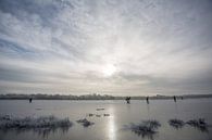 Schaatsers op de Ryptsjerksterpolder von Maurice Hamming Miniaturansicht