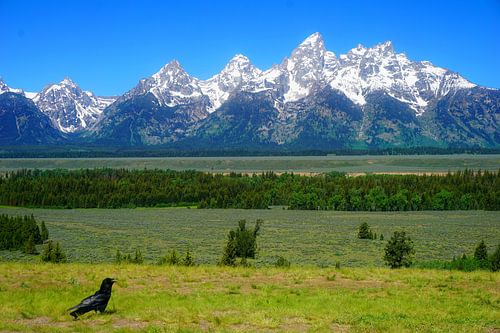Grand Teton National Park in Wyoming