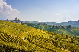Serralunga d'Alba Village and Terraced Vineyards, Italy by Stefano Orazzini