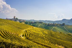 Serralunga d’': Das Dorf Alba und seine Terrassenweinberge, Italien