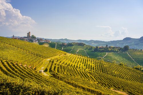 Serralunga d’': het dorp Alba en de terrasvormige wijngaarden, Italië