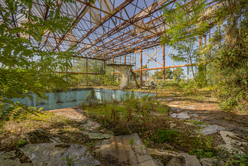 The Jungle Pool