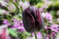 La Tulipe von Yvonne Blokland Miniaturansicht