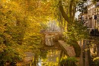 Herfst in Utrecht.