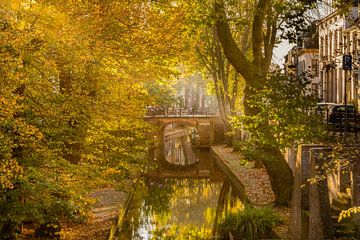 L'automne à Utrecht. sur zeilstrafotografie.nl